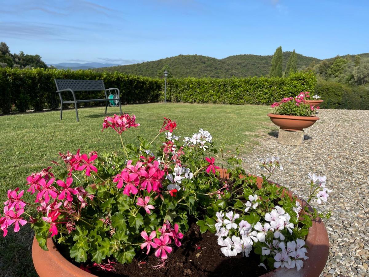Tenuta Montemassi Podere Montauzzo エクステリア 写真